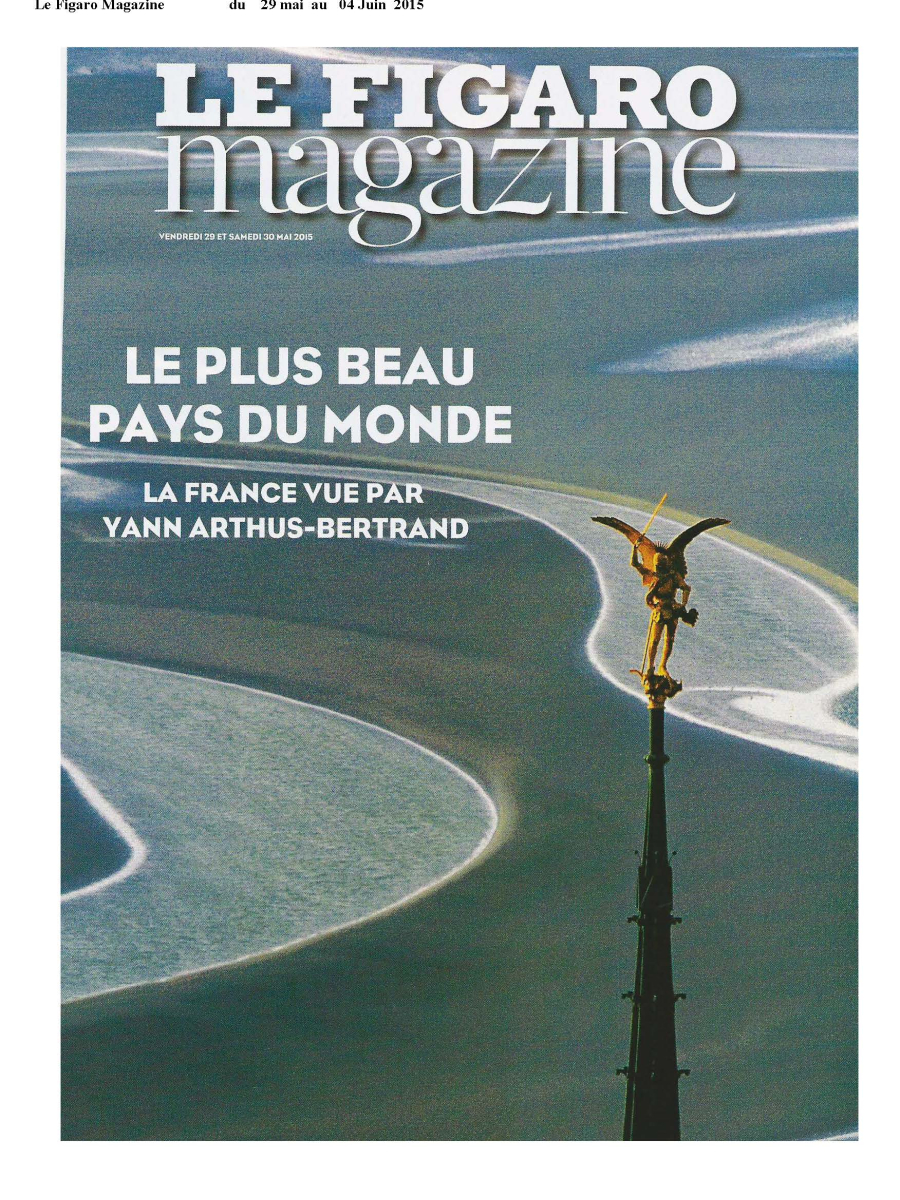 Le_Figaro_Magazine_du_29_mai_au_04_juin-2015_Page_1.jpg